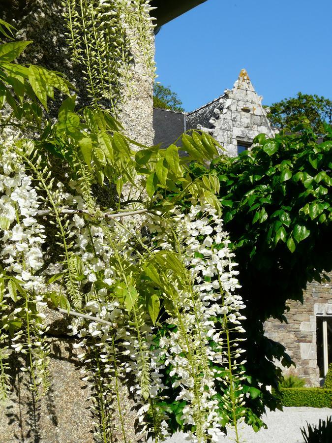 Manoir De Kerledan Hotel Carhaix-Plouguer Exterior photo